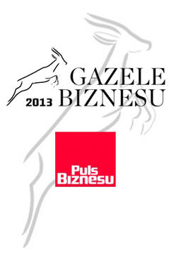 Business Gazelle Ranking 2013